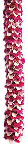 Angel Lei | Specialty Orchid Leis